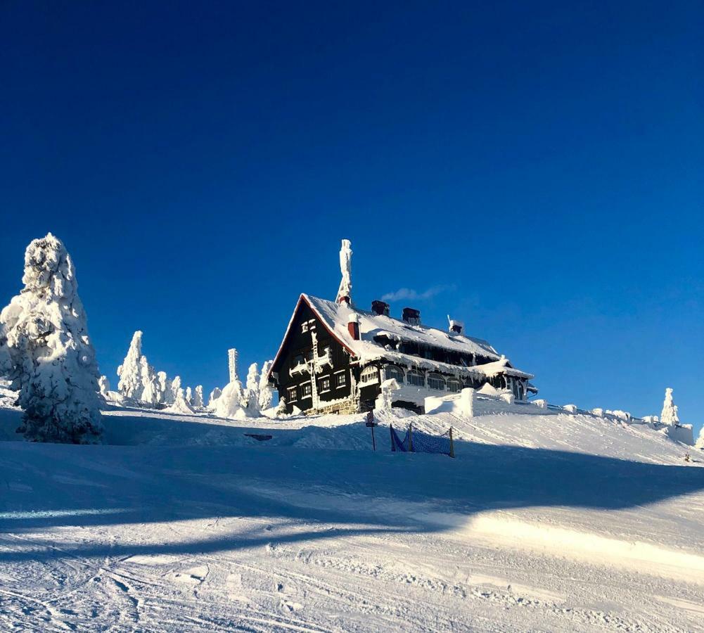 Ski Sun Sea - Rodzinny Apartament Pod Gondola Świeradów-Zdrój Extérieur photo